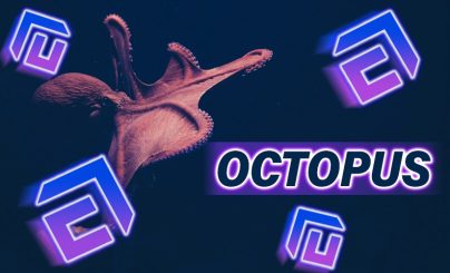 Алгоритм майнинга Octopus