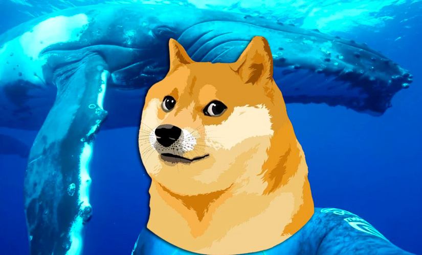 Активность Shiba Inu выросла