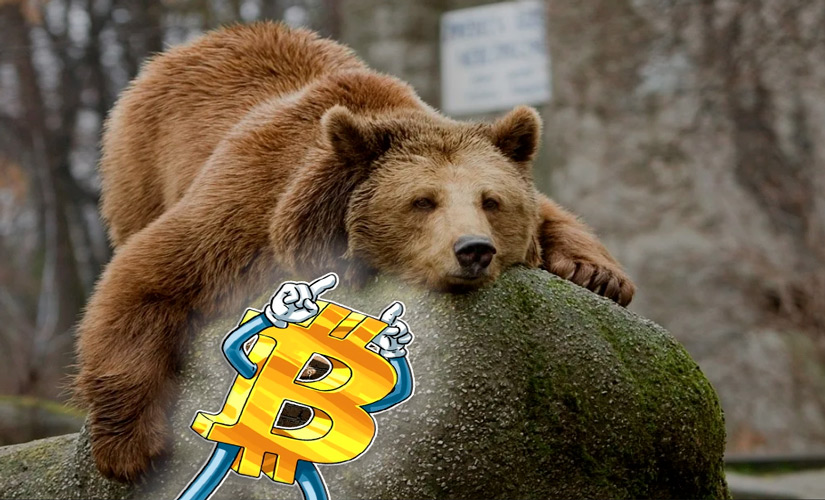 Биткоин растет