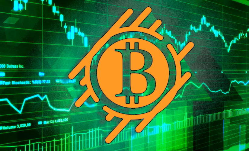 Аналитики назвали важный уровень поддержки для Bitcoin