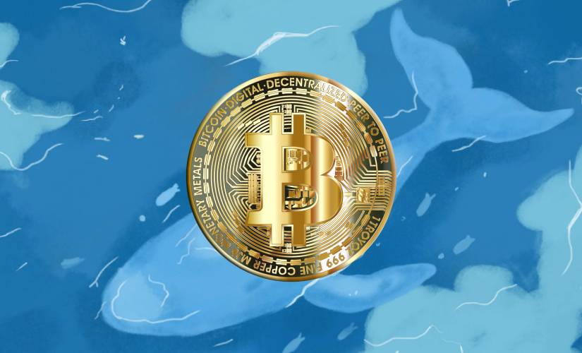 Биткоин кит