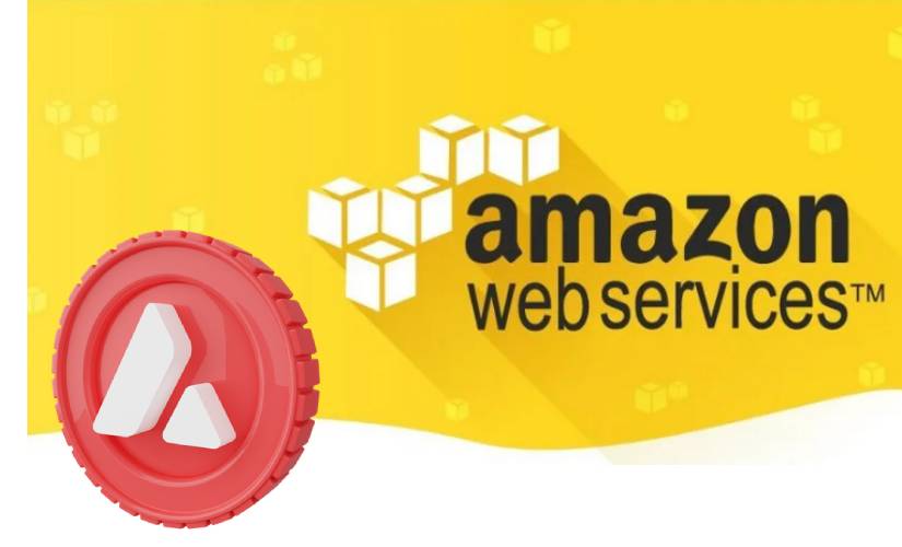 Авакс Амазон