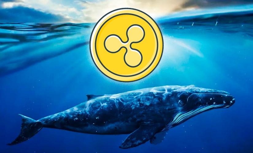 Крупные инвесторы переместили миллионы монет Ripple