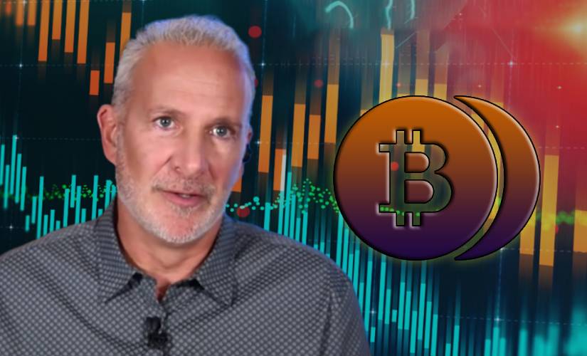 Биткоин Питерр Шифф