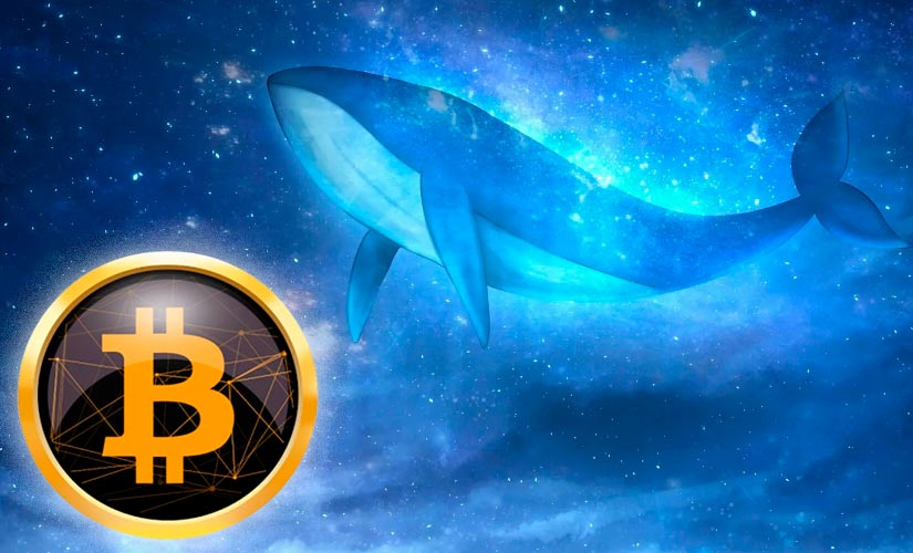 Институциональные инвесторы начали открывать лонги на фоне просадки BTC