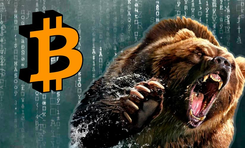 Майкл ван де Поппе поделился новым прогнозом