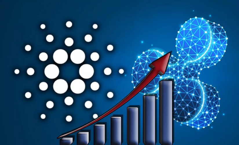 Steel day. Криптовалюта Cardano картинки. Cardano. Cardano Vasil хардфорк. Лучшие альткоины.