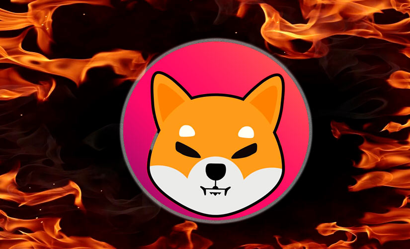 Разработчик Shiba Inu