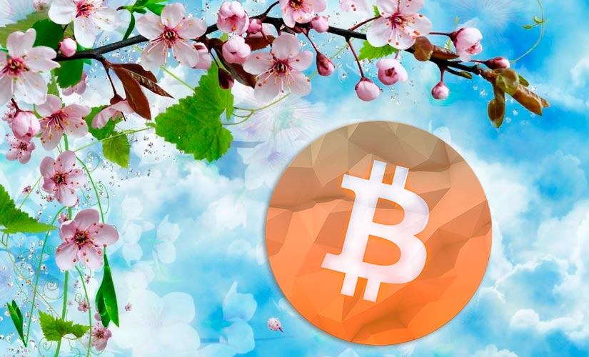 Эксклюзив: эксперты рассказали о потенциальном развитии криптовесны