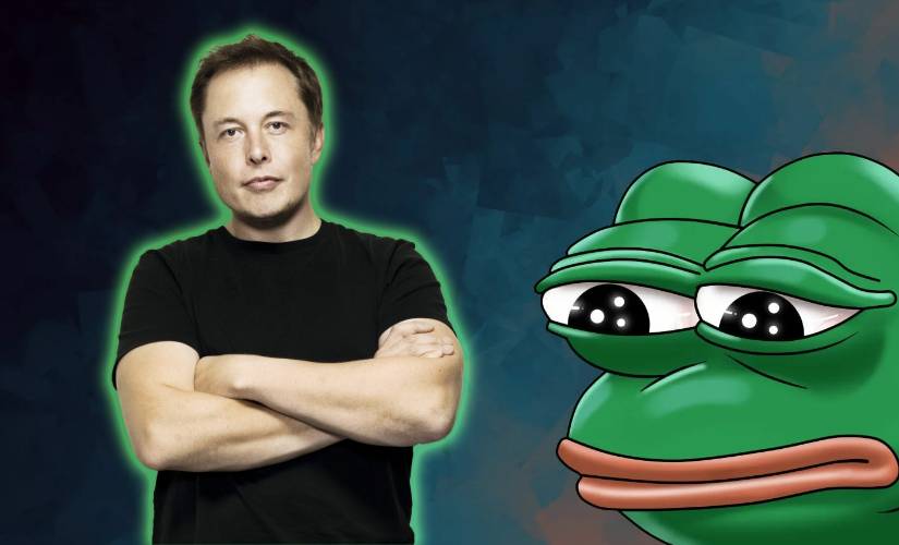 Илон Маск Пепе