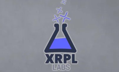 Компания XRPL Labs