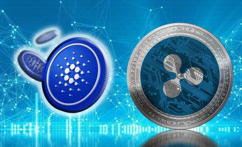 Рипл Кардано