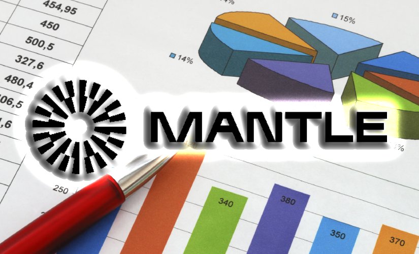 Сеть mantle network