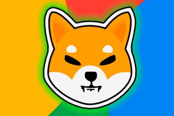 Shiba
