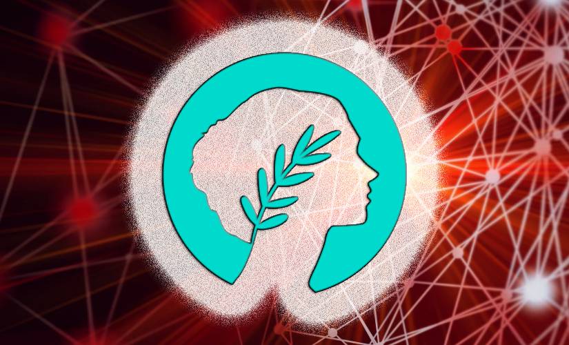 Метис андромеда