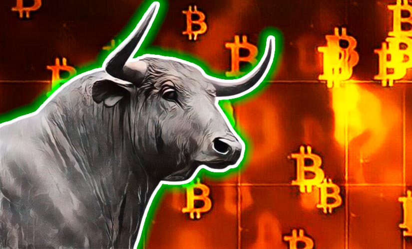 Bitcoin Bull