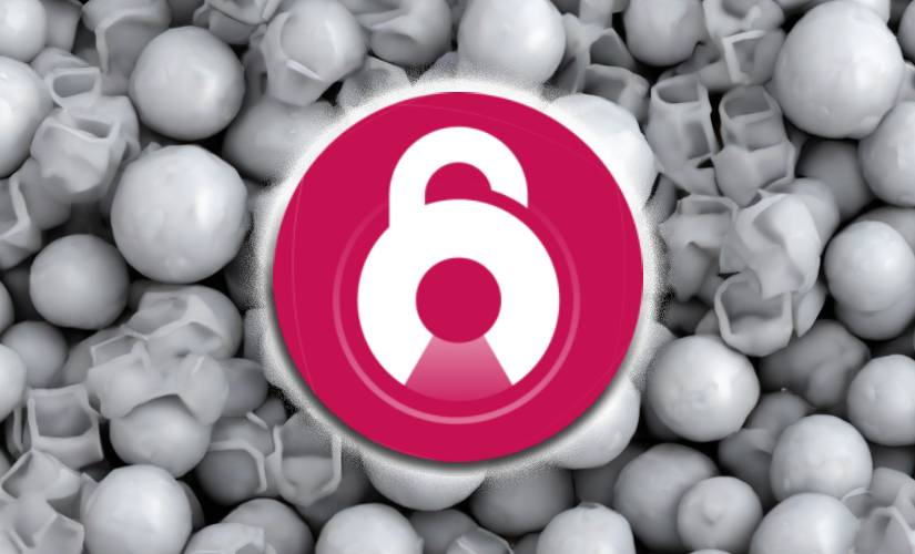 Токенанлокс