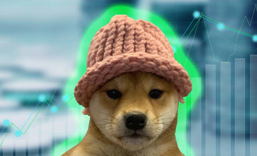 Собака в шляпе