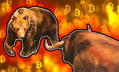 Bear Bull Bitcoin