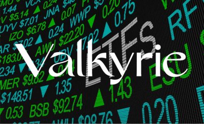 Управляющая компания Valkyrie