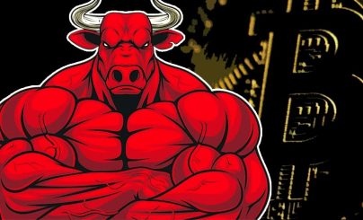 Bitcoin Bull