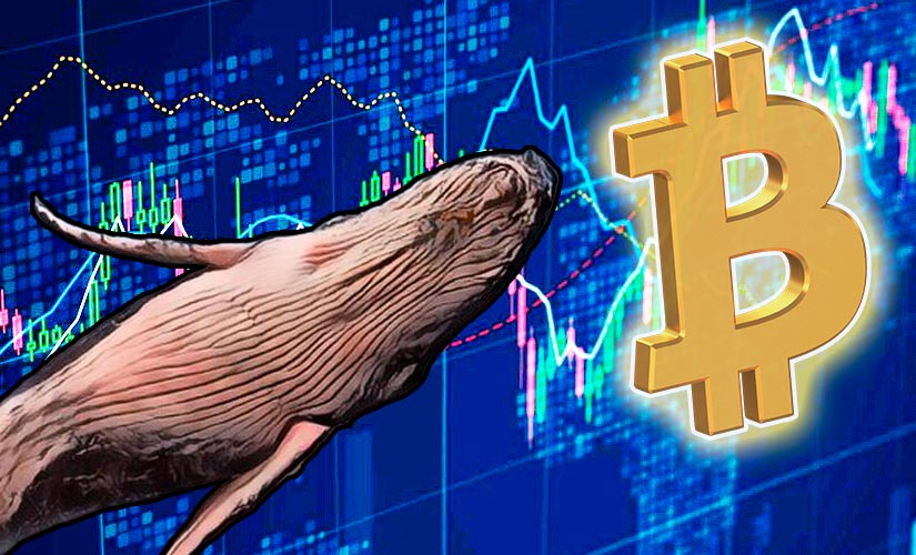 Kiti Crypto