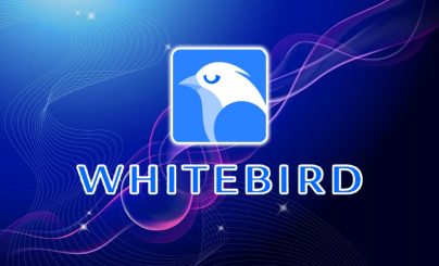 Whitebird