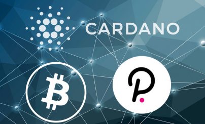 Bitcoin, Polkadot и Cardano