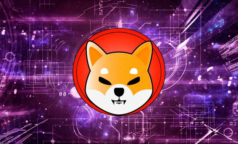 SHIBA INU