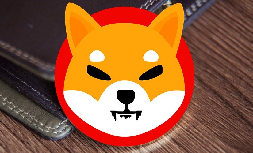 Shiba Inu