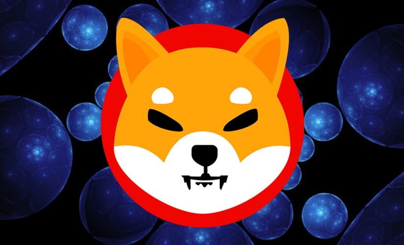 SHIBA INU