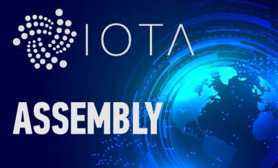IOTA и Assembly