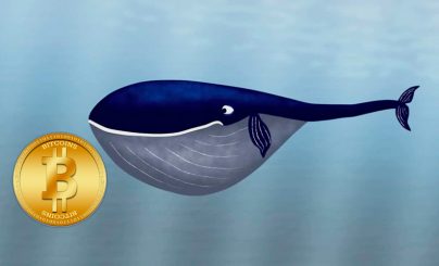 Биткоин-кит