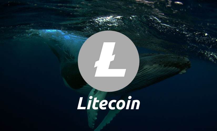 Киты увеличили запасы Litecoin на 5%