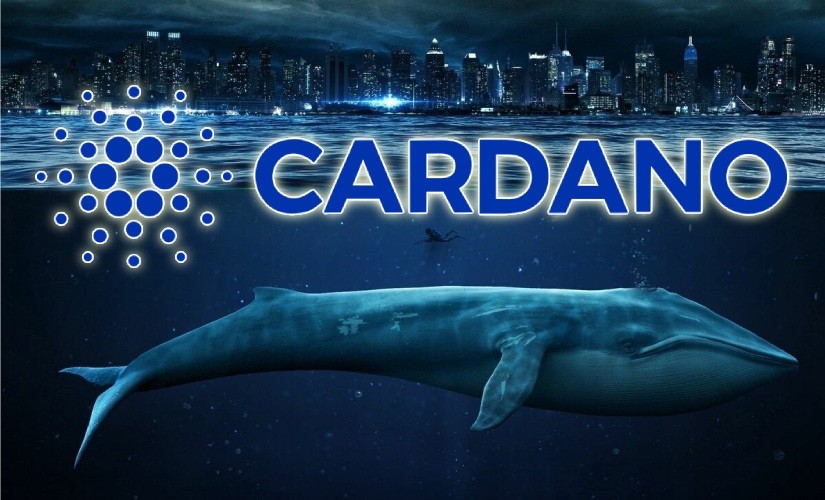 cardano