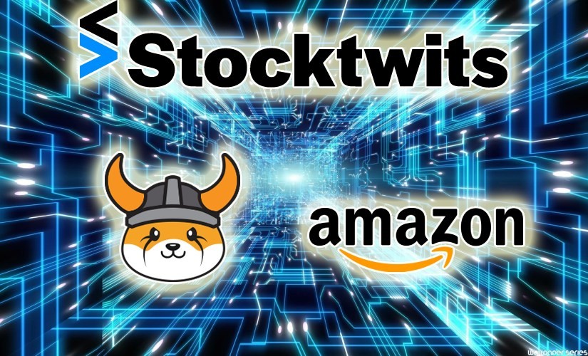 flokiinu_amazon_stocktwits