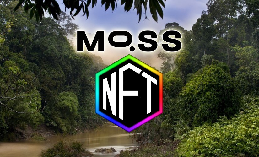 nft