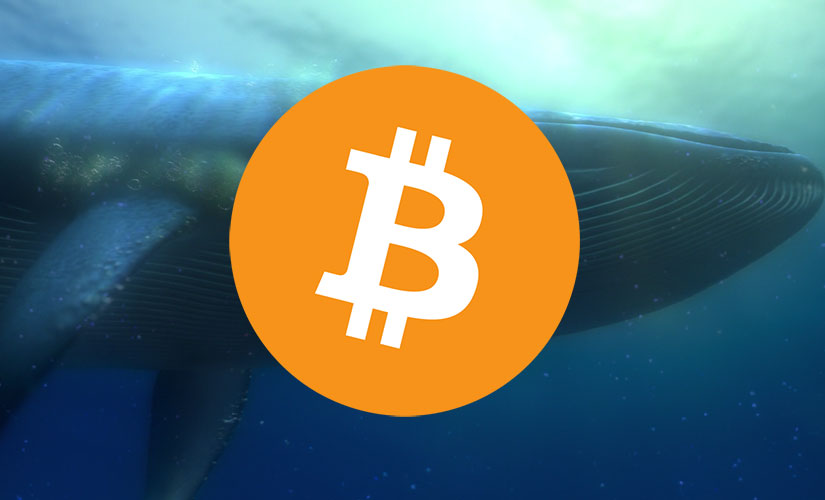 Китте перевод. Кит BTC. Биткоин кит фото. Монетки биткоин с Макдональдса. Биткоин перевод.