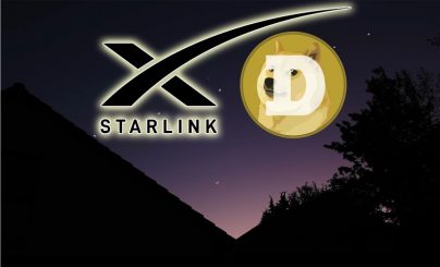 starlink_doge