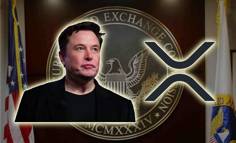 mask_xrp