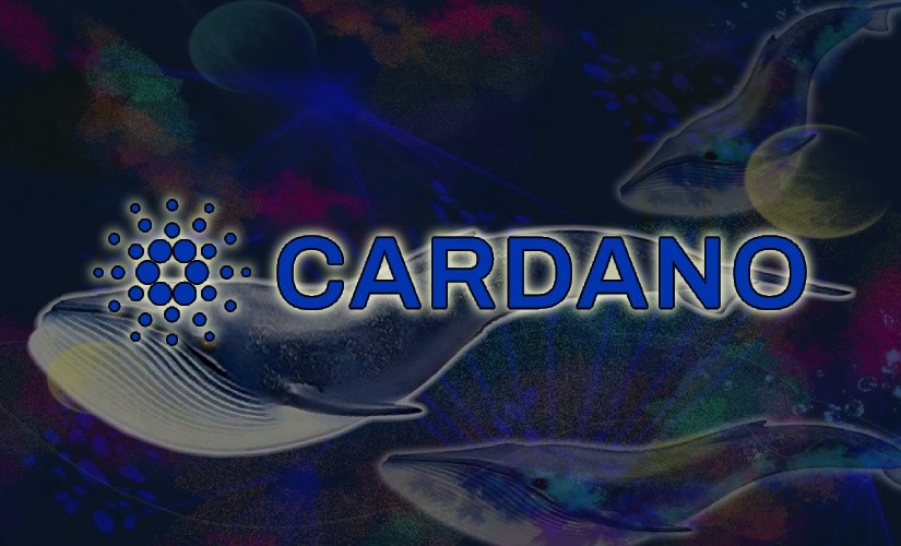 cardano