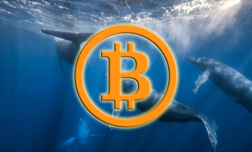 btc