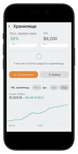 Раздел Хранилище