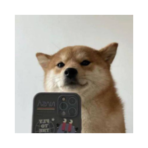 SelfieDogCoin