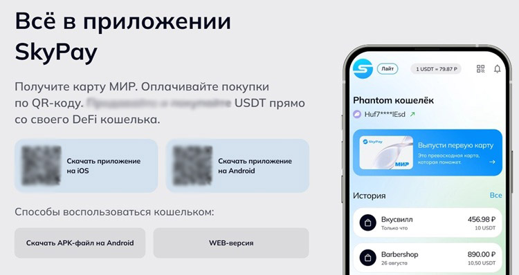 Карта SkyPay
