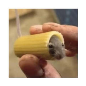 mouse in pasta