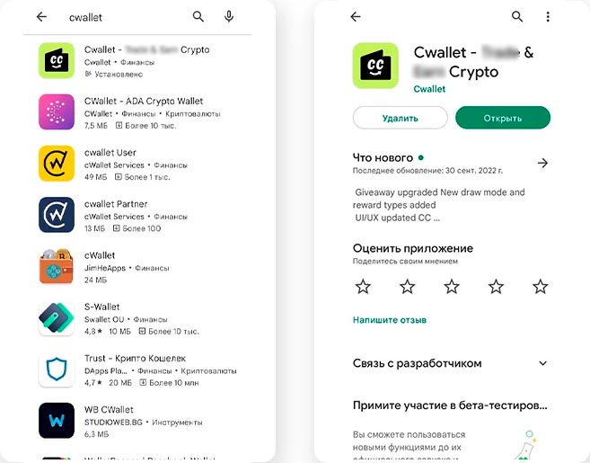Страница C wallet в Google Play