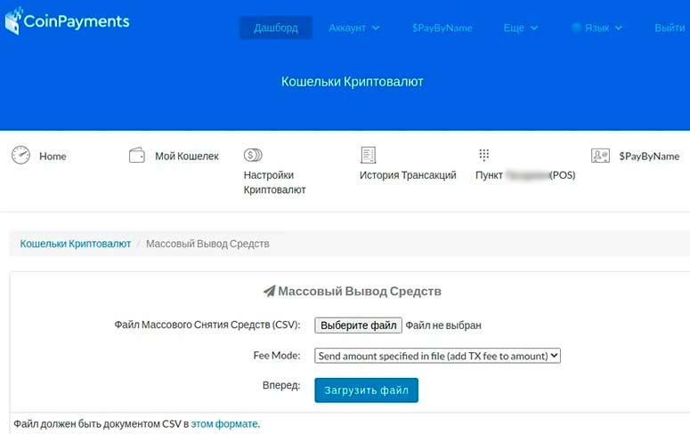 Раздел сайта