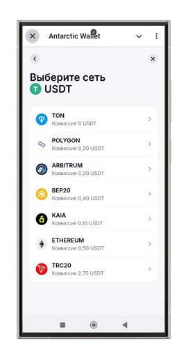 Пополнение кошелька Antarctic Wallet