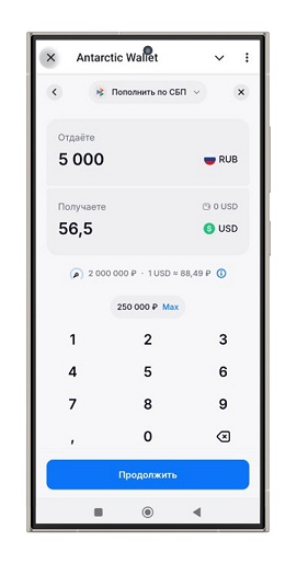 Пополнение Antarctic Wallet рублями